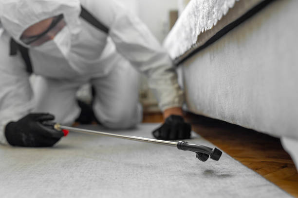 Professional Termite Control technician working in Arcadia, FL