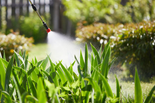 24/7 Emergency Termite Control experts in Arcadia, FL