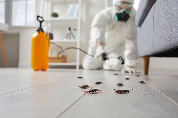 Affordable Termite Control solutions in Arcadia, FL